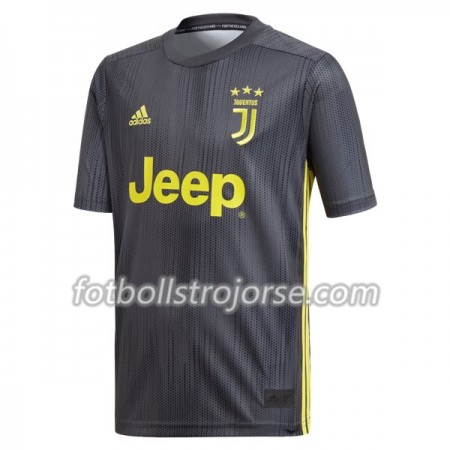 Juventus Matchtröjor Tredje Fotbollströja 2018-2019